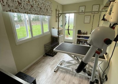Dog Grooming studio