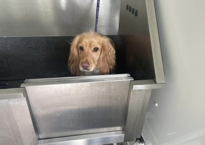 Bath time