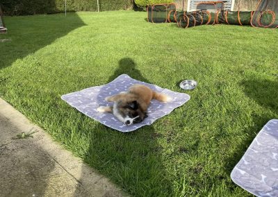 cooling mat